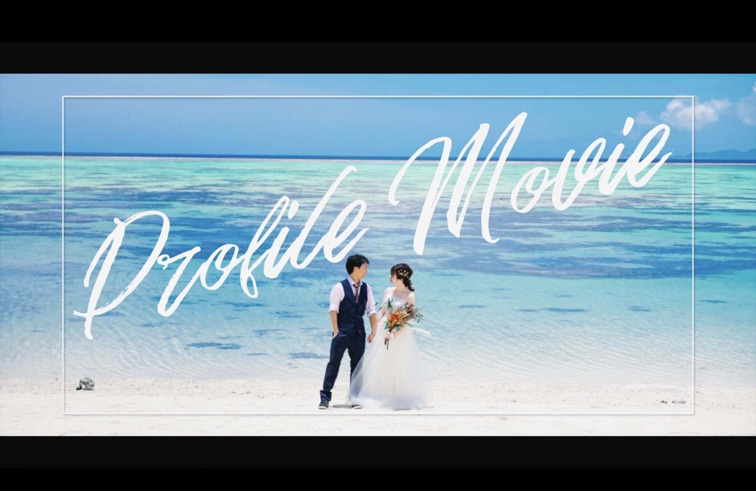Simple プロフィールムービー　オープニング