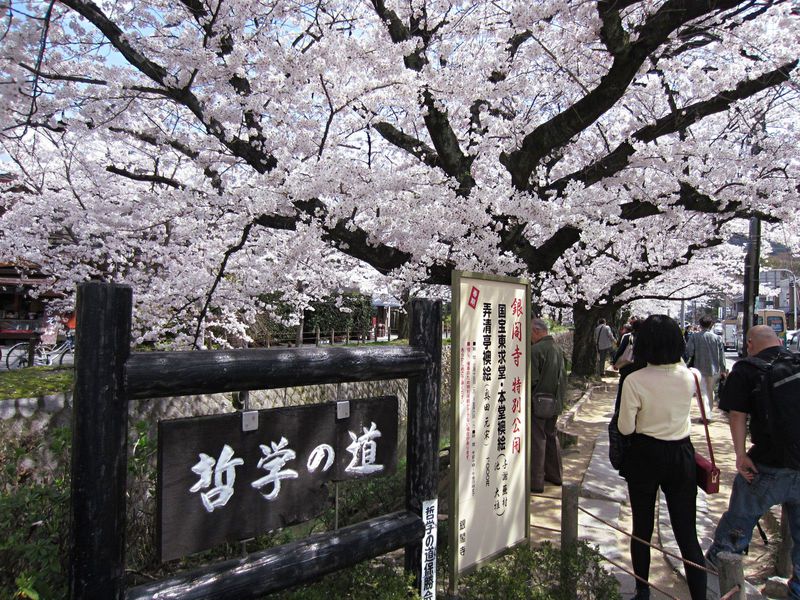 哲学の道